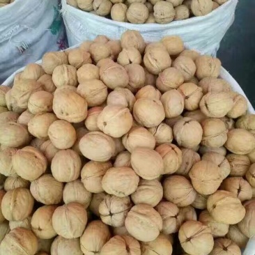 新疆核桃去皮干
