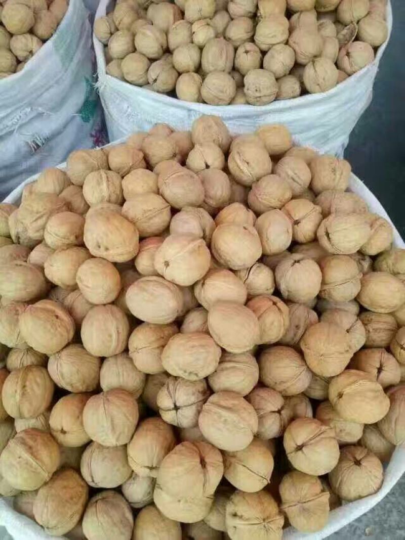 新疆核桃去皮干