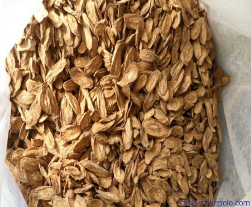 牛蒡茶牛蒡干新鲜牛蒡