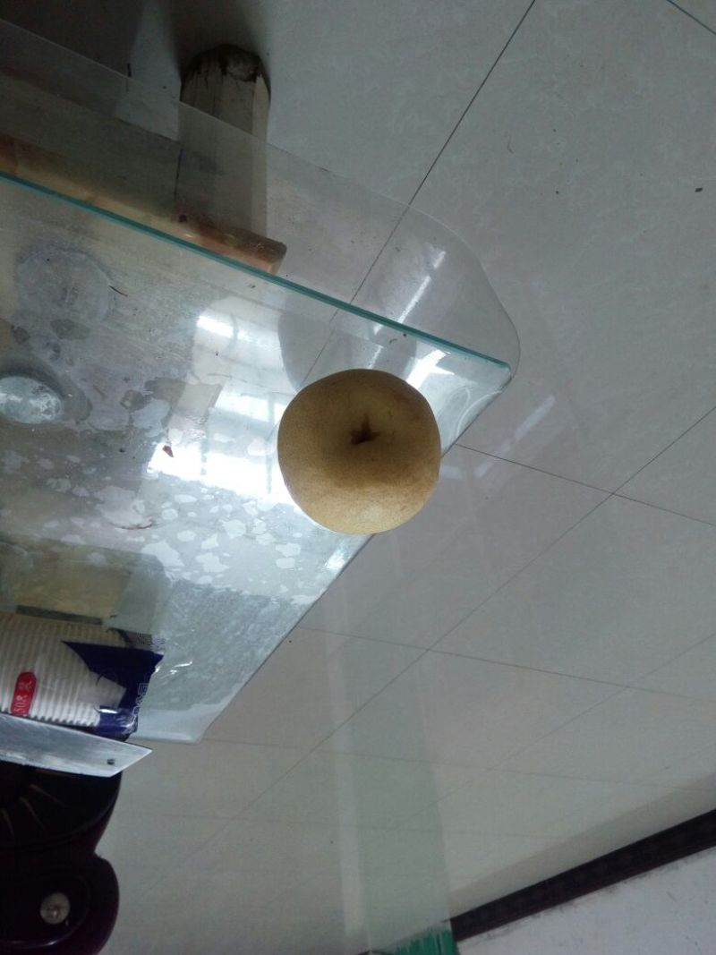酥梨200~250g纸箱