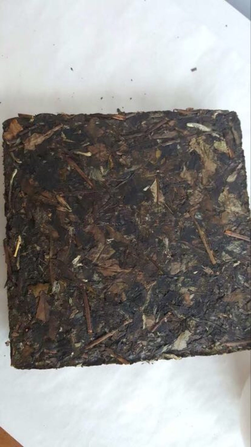 福鼎白茶