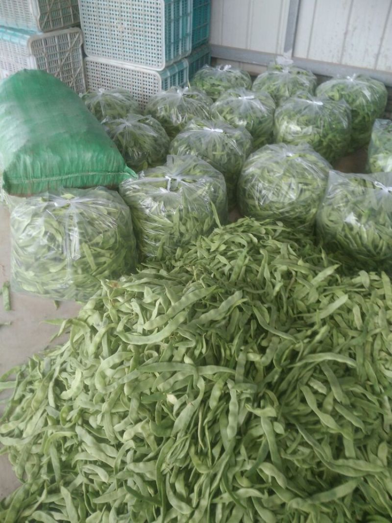 扁青芸豆精品货赶集货电商货负责找车还有其他蔬菜代办代发