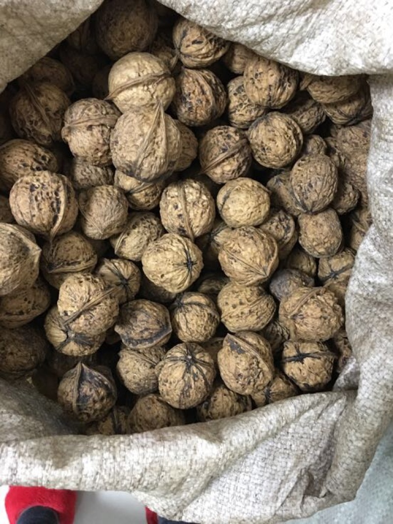 麻核桃