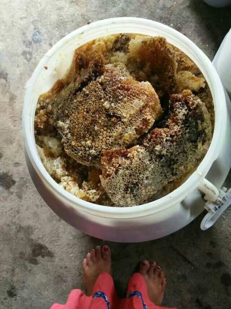 云南野生土蜂蜜石蜂蜜2斤