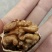 薄皮核桃30mm以上去皮干