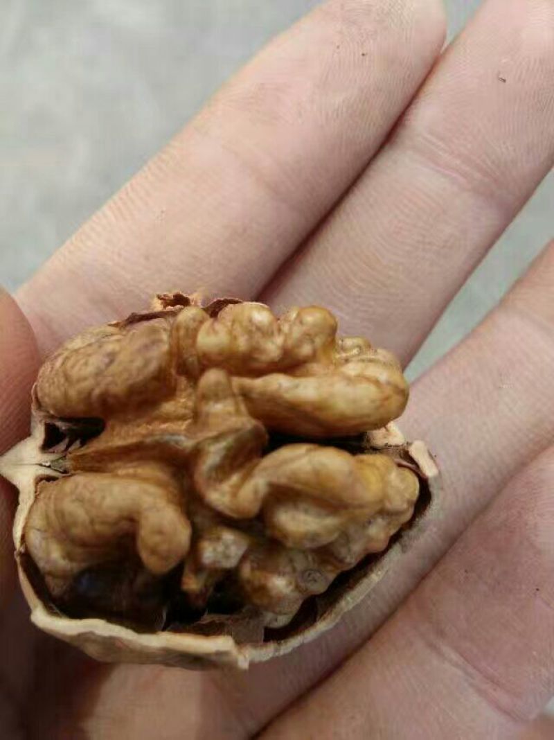 薄皮核桃30mm以上去皮干