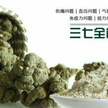 三七35头选货