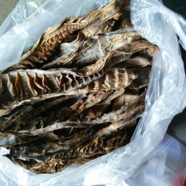 笋干淡笋干