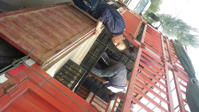 砀山梨60~100g纸袋