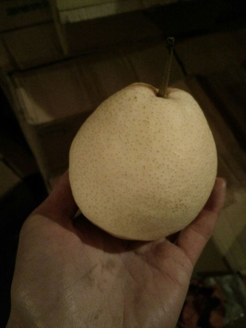 酥梨纸箱250~300g