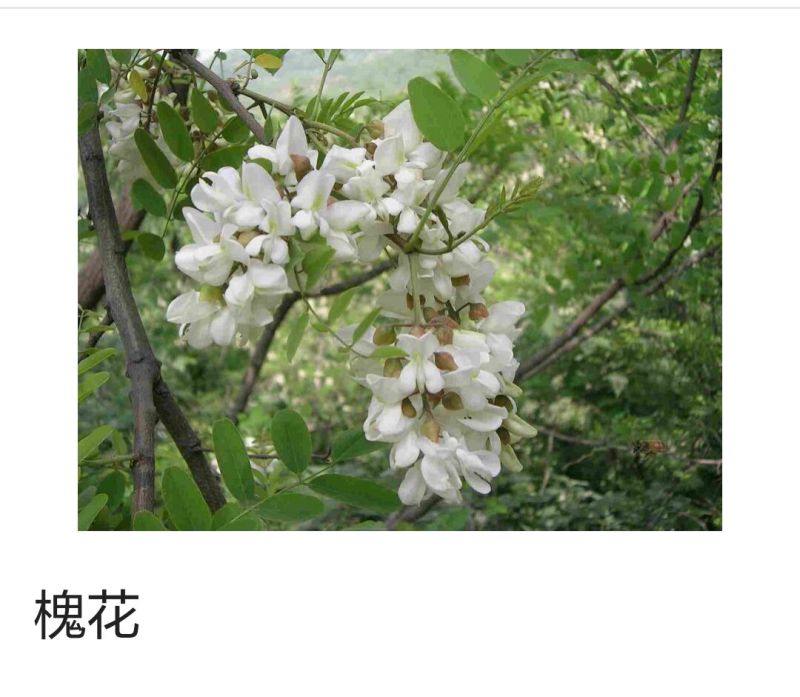 一件代发槐花蜜自产自销无任何添加，一件2斤