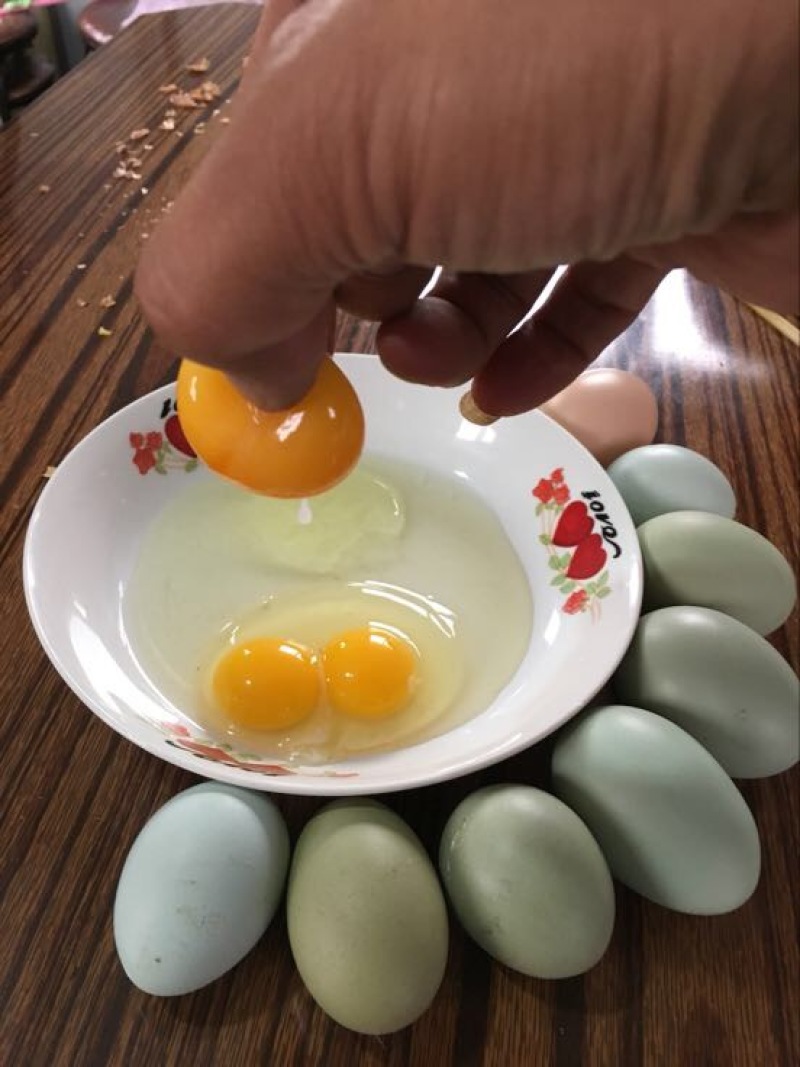 绿壳鸡蛋