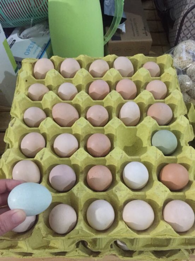 土鸡蛋