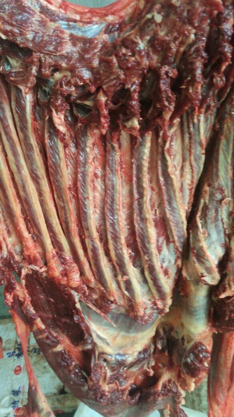驴肉鲜货
