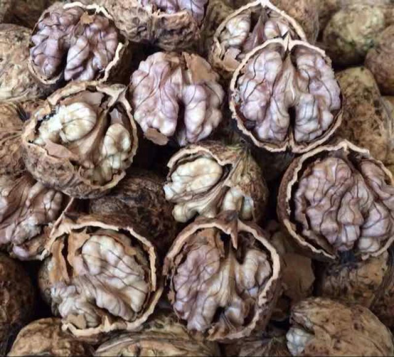 薄皮核桃去皮