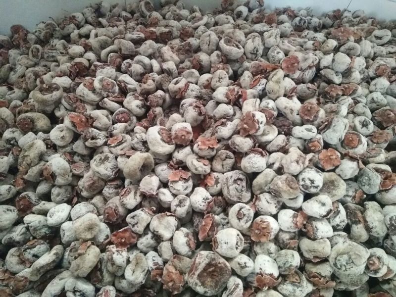 柿饼1两以下