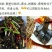 蕨根淀粉散装