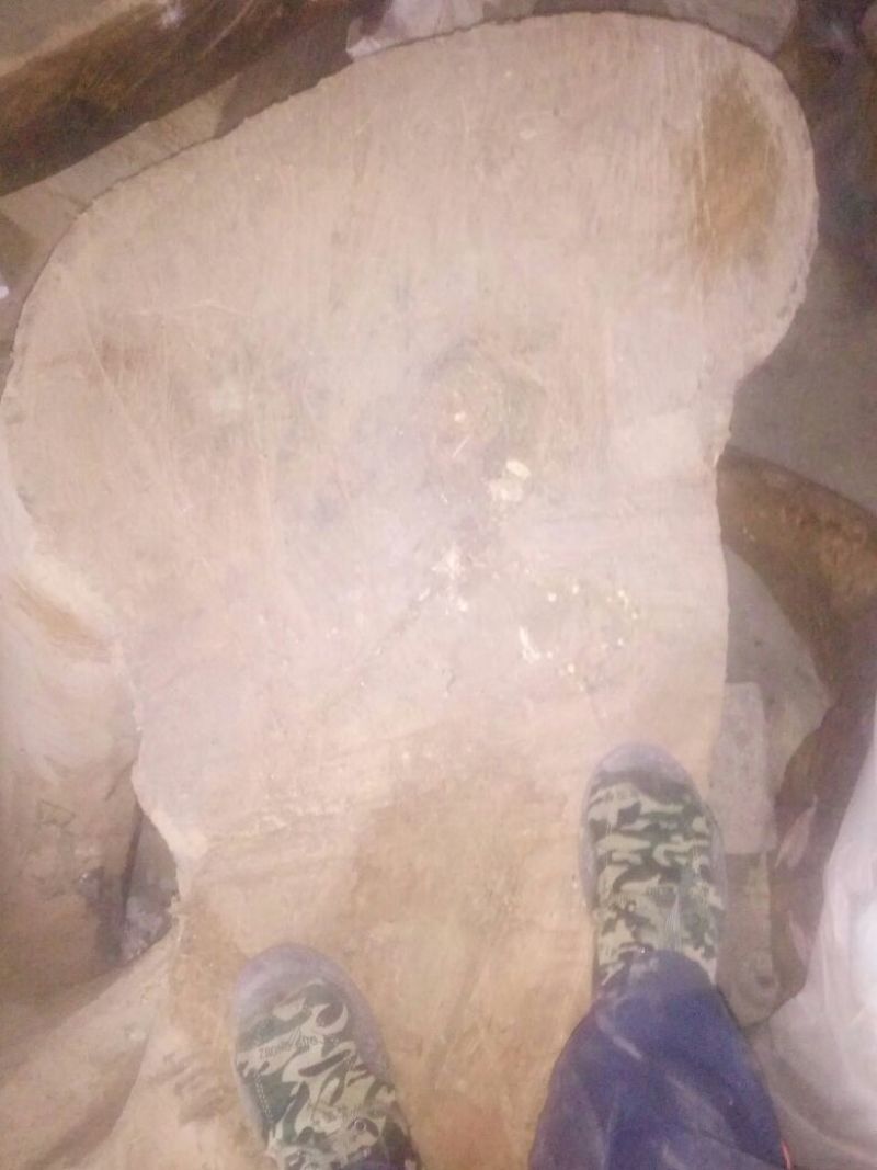金丝楠木80~100cm