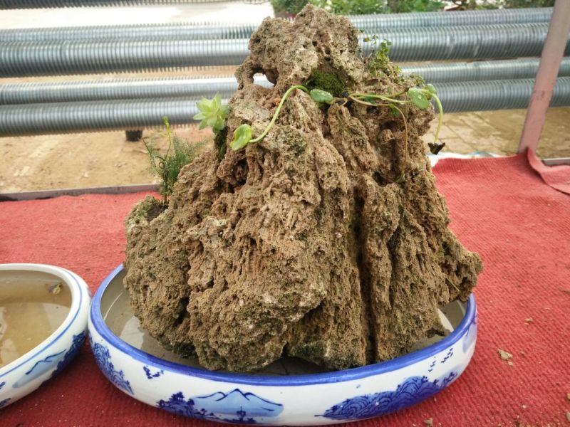 上水石造型漂亮质量保证规格齐全价格合理发货及时