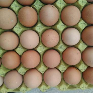 红蛋食用50~60g