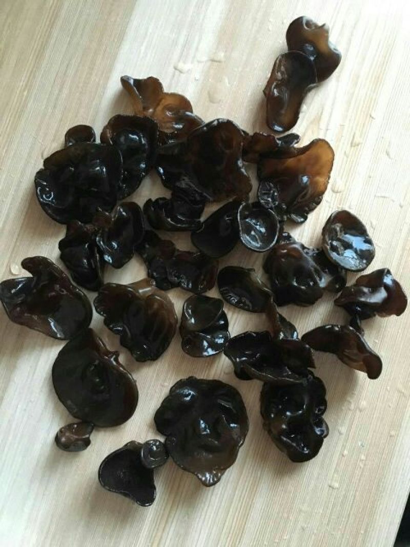 秋耳二级
