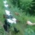 黑山羊种羊50~80斤
