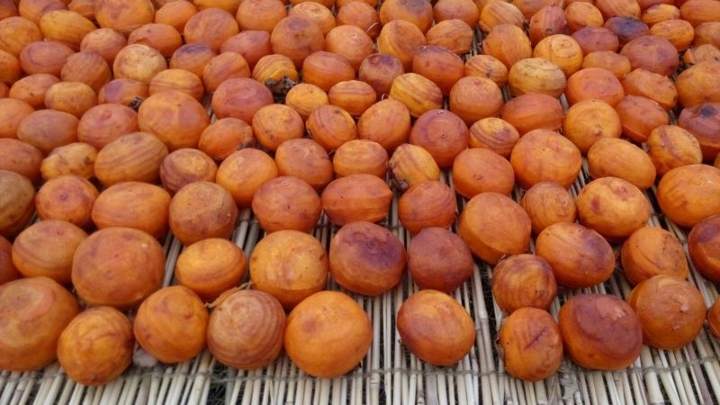 柿饼1~2两