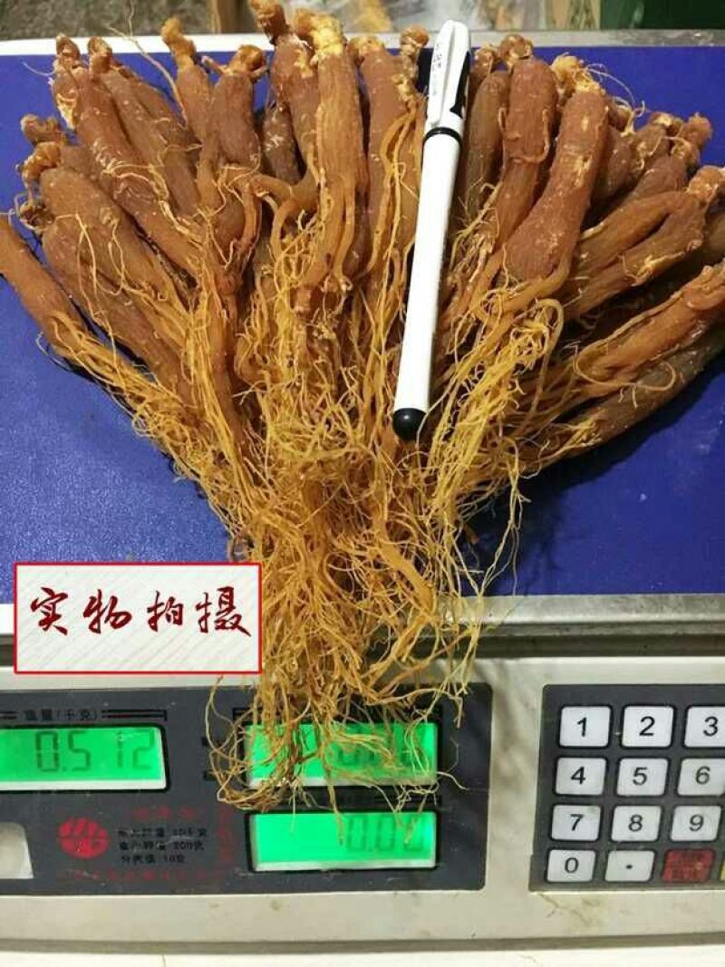 东北红参整支无糖人参长白山红参片无熏制高丽参全须红参