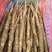 铁棍山药2~3厘米一级通货30~40厘米