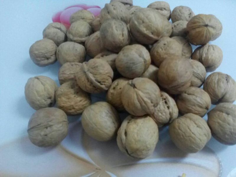 薄皮核桃30mm以上去皮