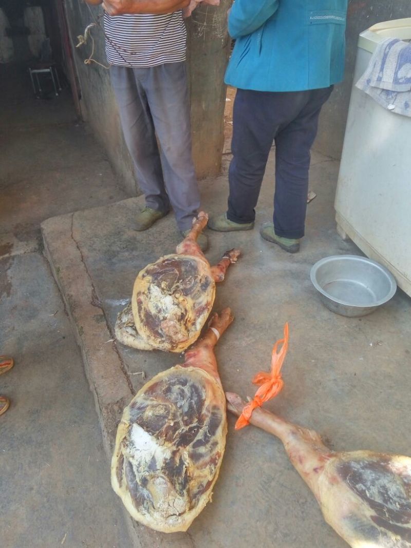 火腿