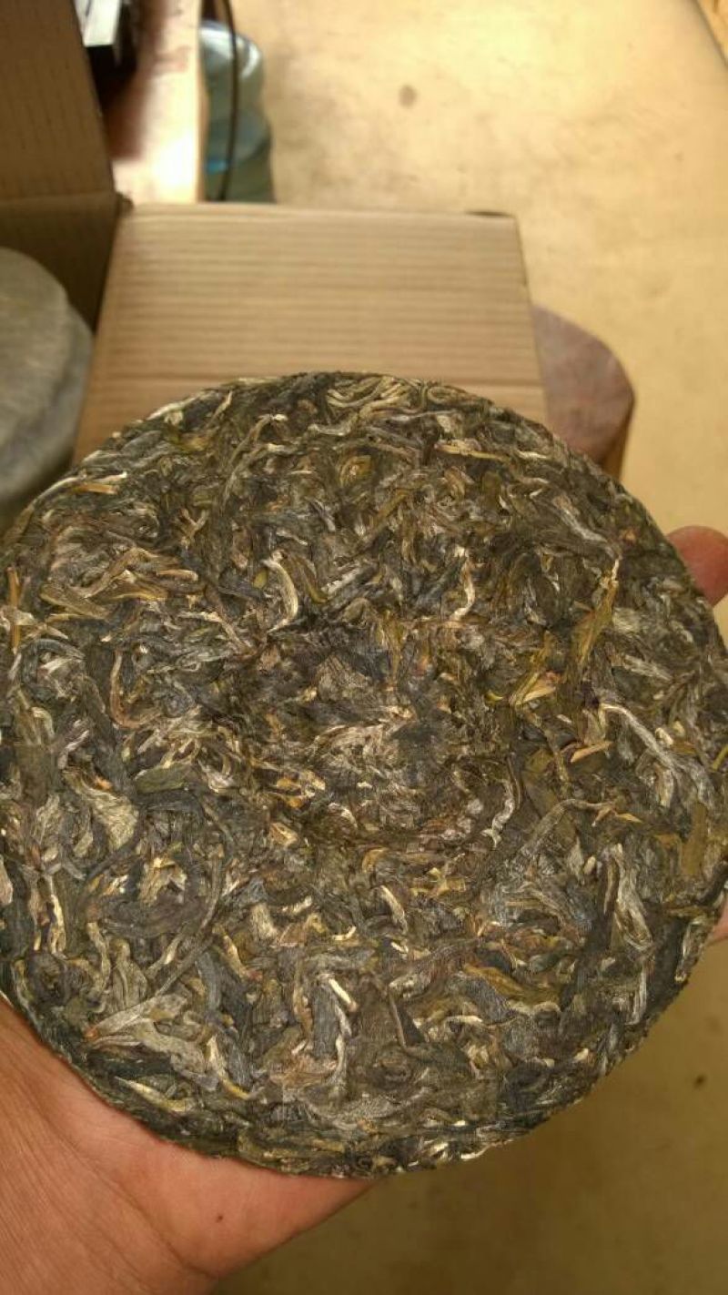 百年大树茶特级