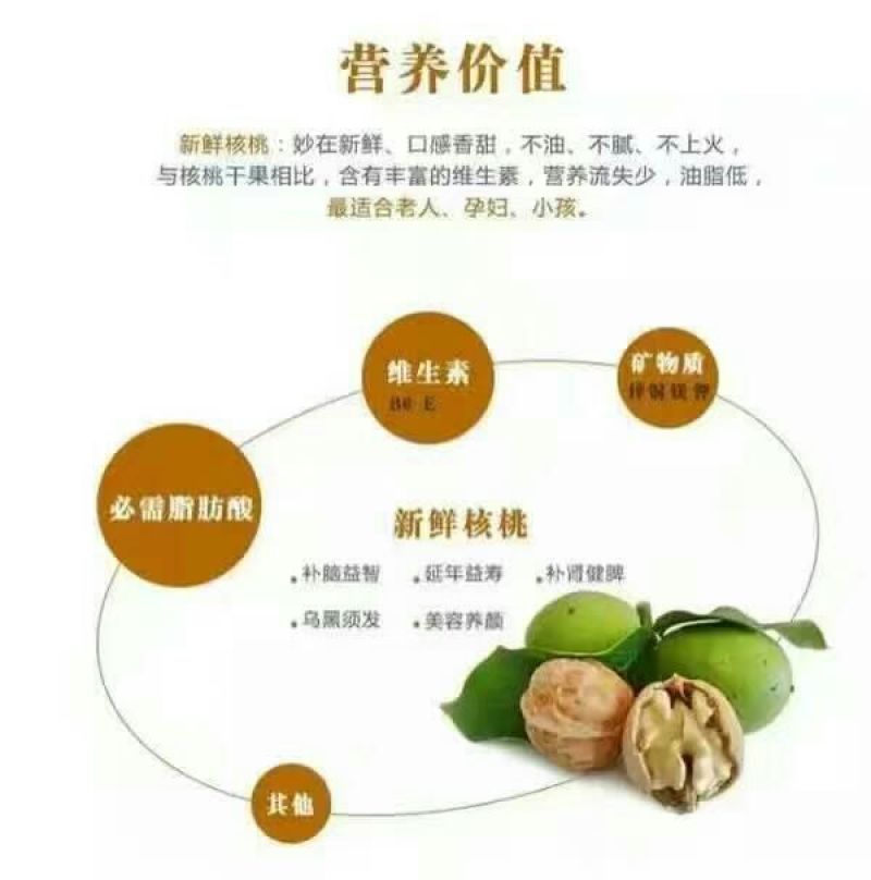 薄皮核桃去皮干