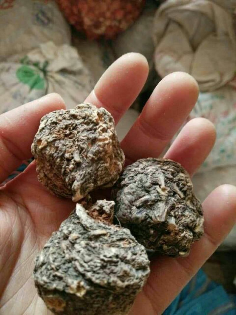 黑玛卡黑色