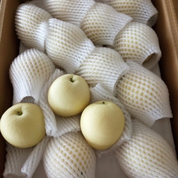 皇冠梨250~300g纸箱