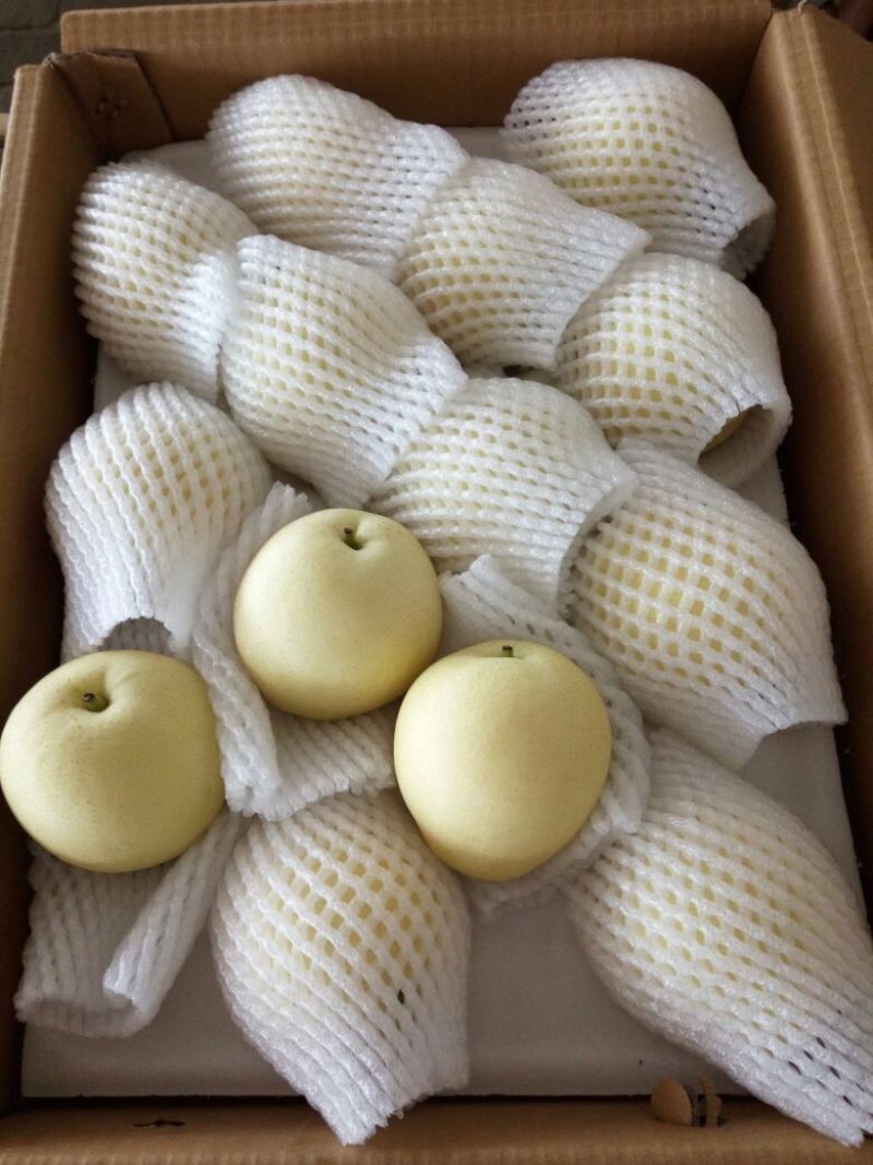 皇冠梨250~300g纸箱