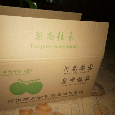 晚秋黄梨60~100g纸箱