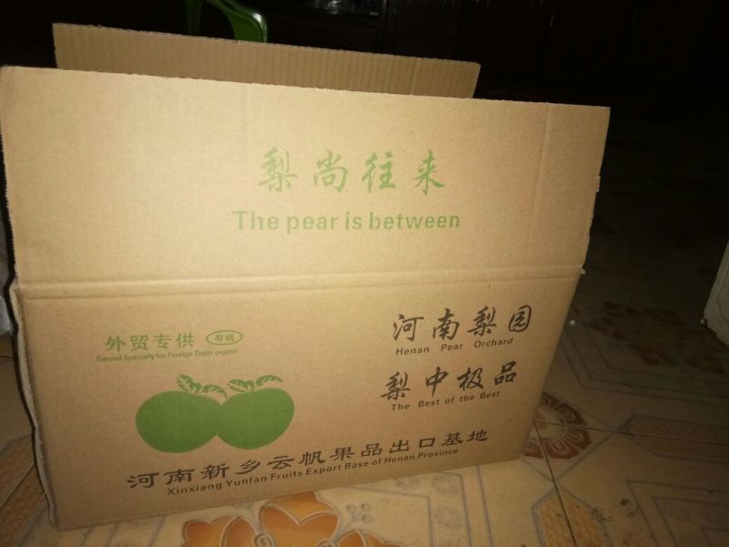 晚秋黄梨60~100g纸箱