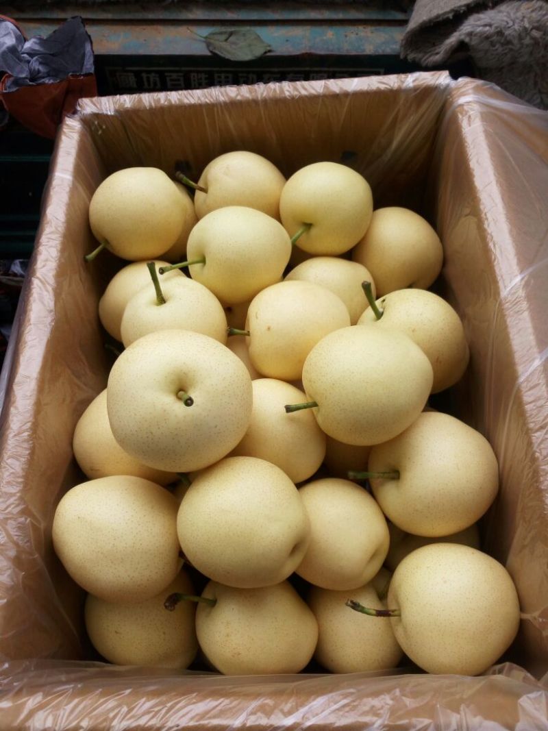 皇冠梨200~250g纸袋