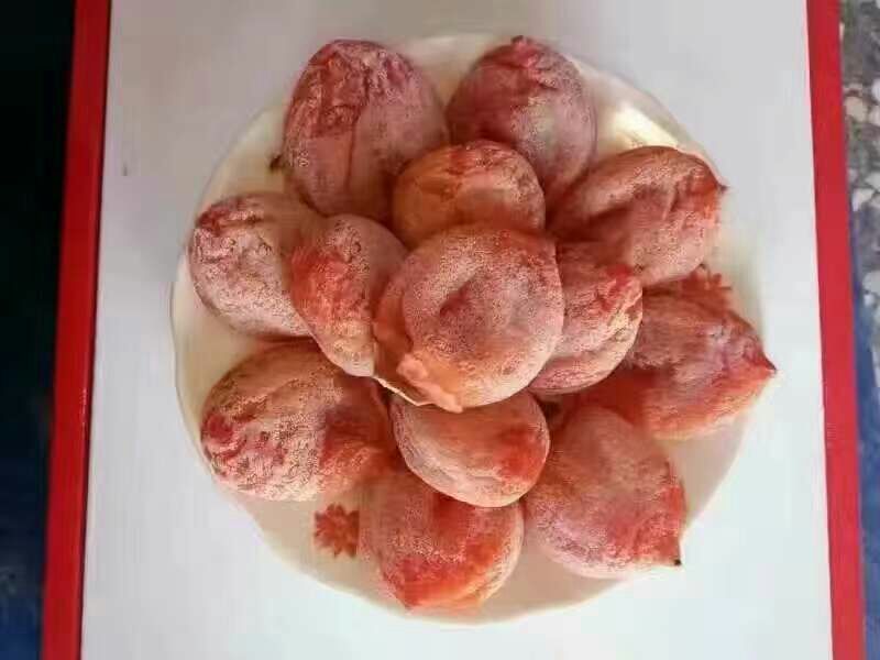 柿饼1~2两