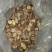 干香菇3cm以下