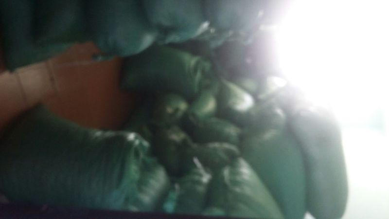 秋耳一级