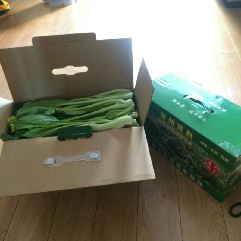 菜苔
