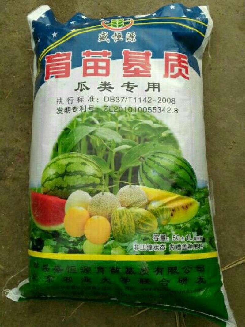 白茄子种子