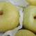 酥梨100~150g光果