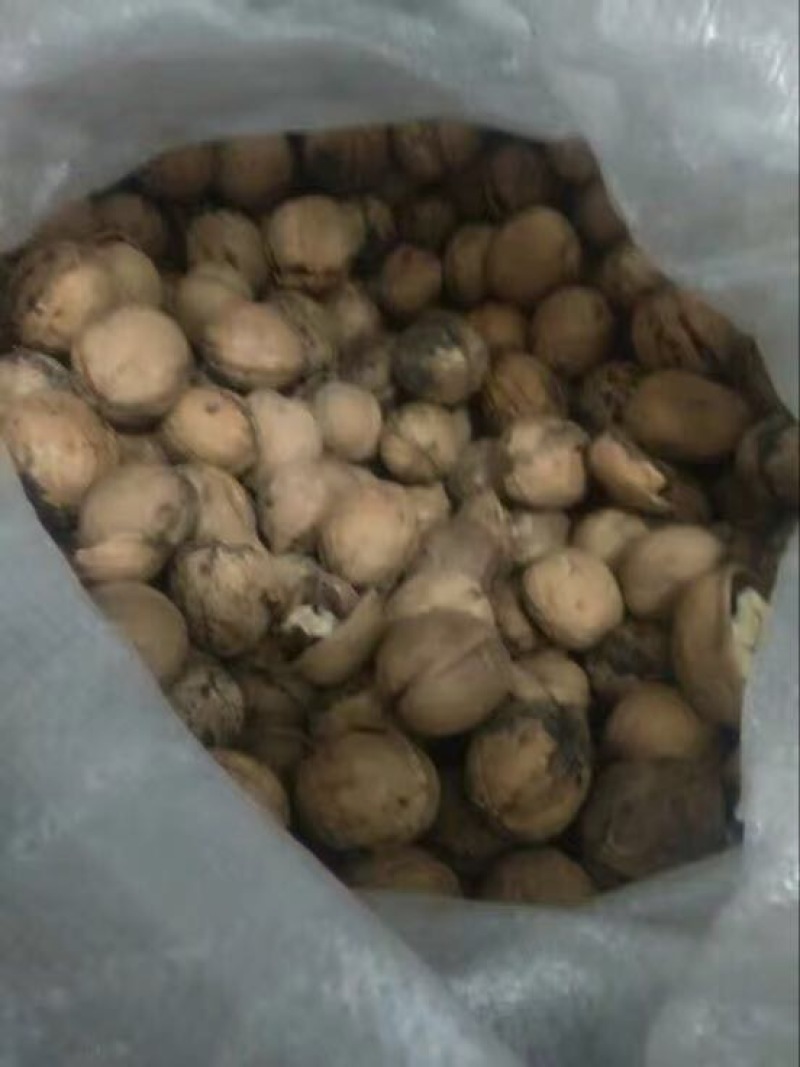 山核桃