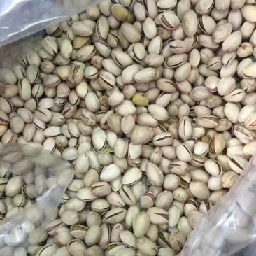 开心果特级