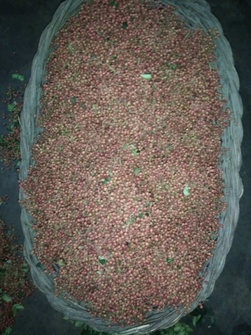 大红袍花椒特级干