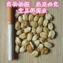 苦瓜子