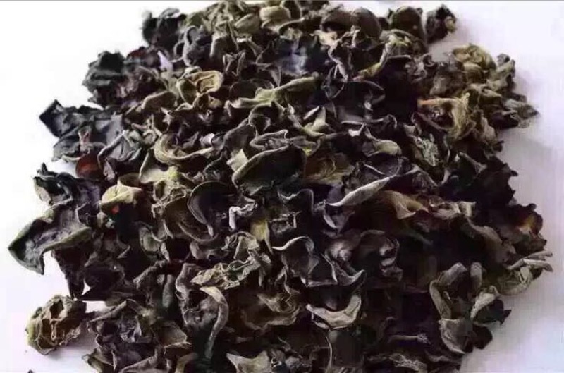 毛木耳